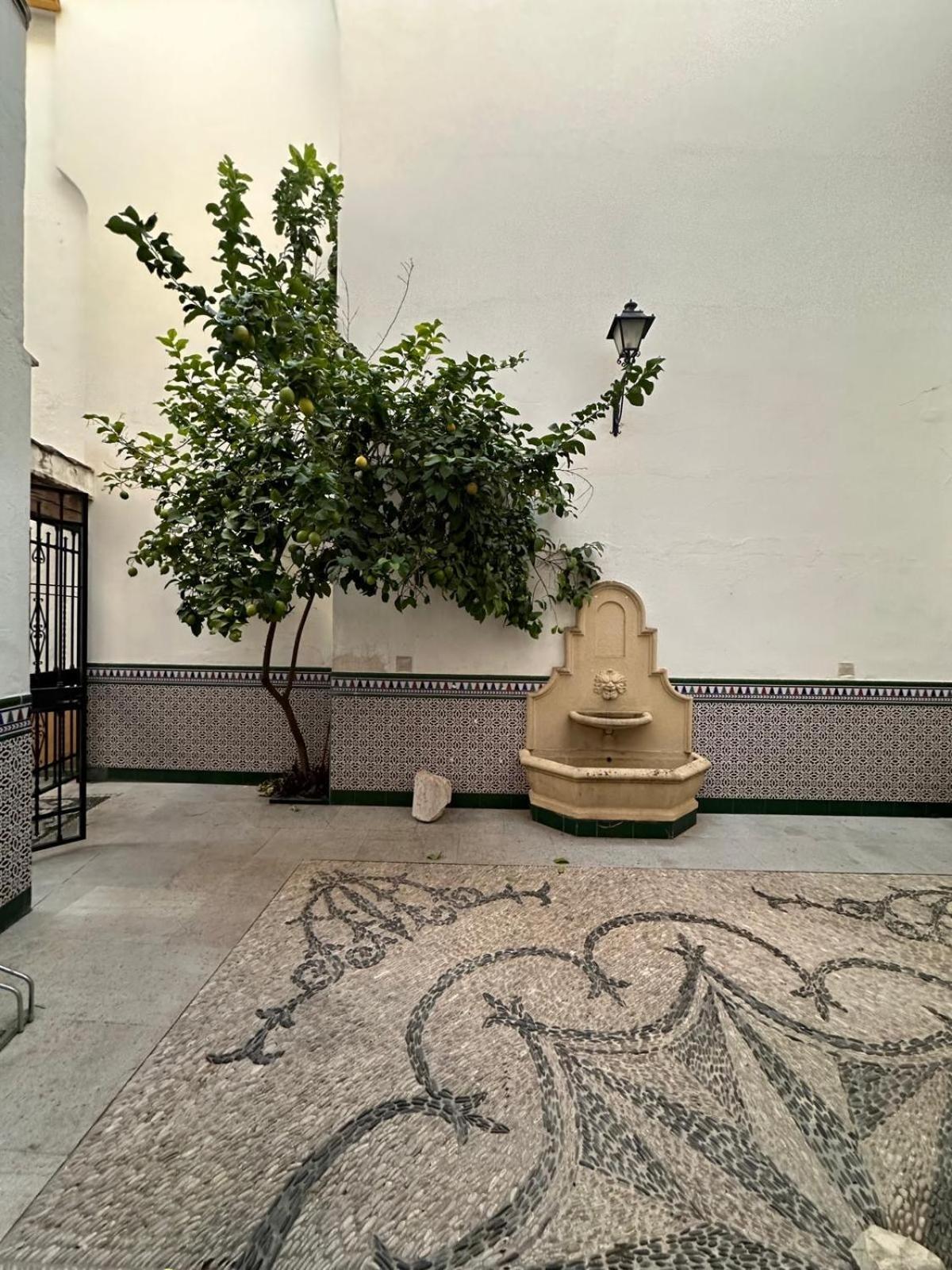 Appartement Au Centre De Gordoba 科爾多瓦 外观 照片